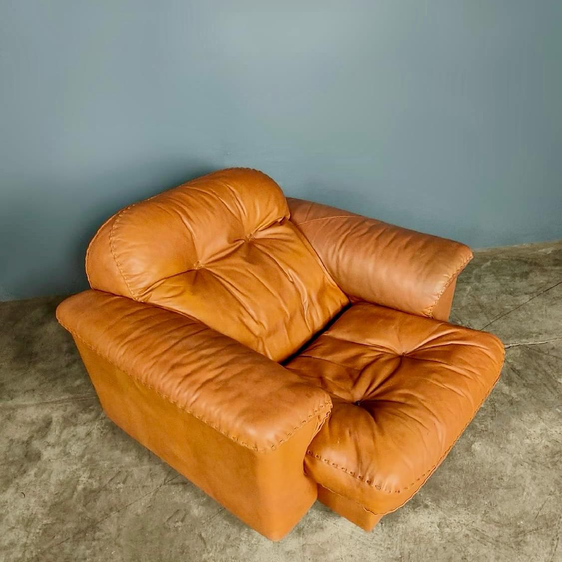 De Sede DS-101 Reclining Armchair Lounge Tan