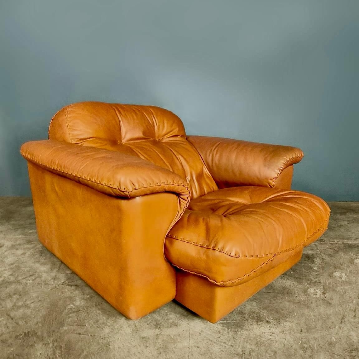 De Sede DS-101 Reclining Armchair Lounge Tan